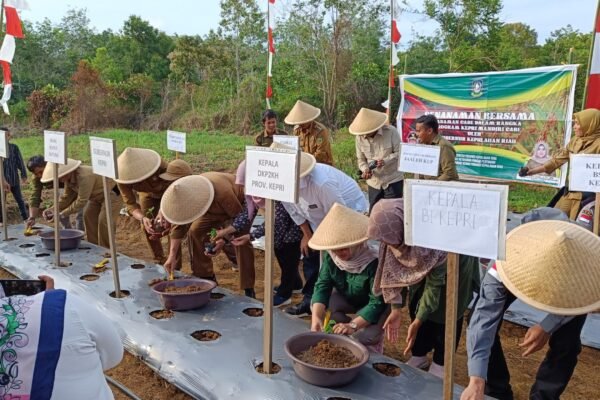 Indonesia Hentikan Impor Beras: Langkah Nyata Menuju Swasembada Pangan