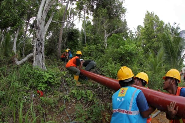 Listrik Desa Jadi Prioritas Pemerintah Menuju Pembangunan Inklusif